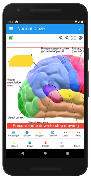 Anki Image Occlusion